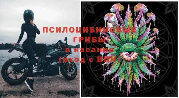 спиды Алексин