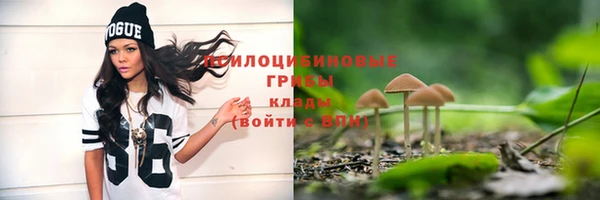 спиды Алексин