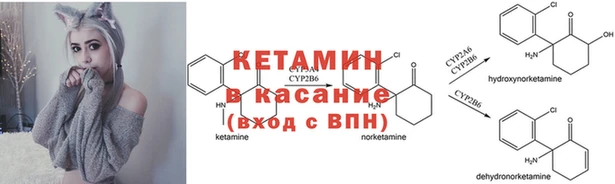 каннабис Алексеевка