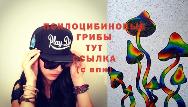 прущие грибы Алзамай