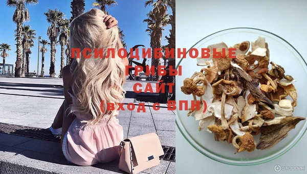 спиды Алексин