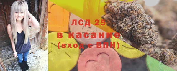 прущие грибы Алзамай