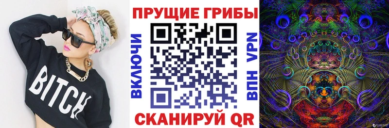 Галлюциногенные грибы мицелий  blacksprut tor  Аргун 