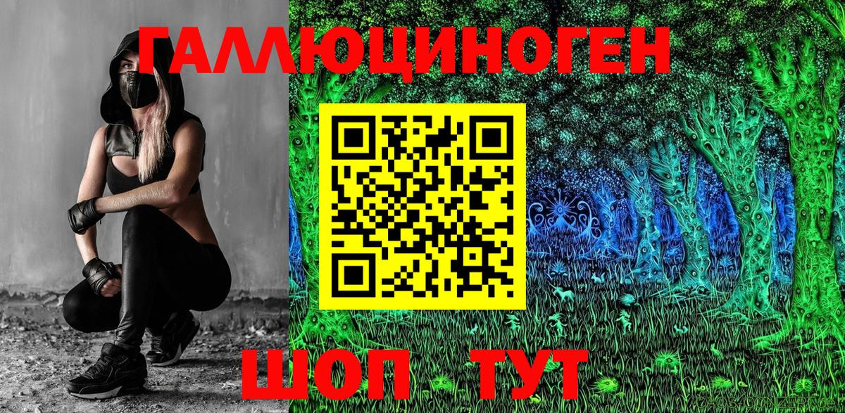 Аргун  Псилоцибиновые грибы MAGIC MUSHROOMS  Вход с VPN  Псилоцибиновые грибы GOLDEN TEACHER 