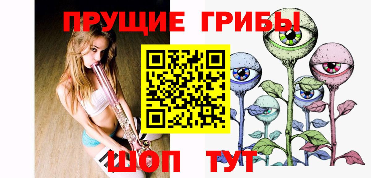 Галлюциногенные грибы Psilocybe Аргун