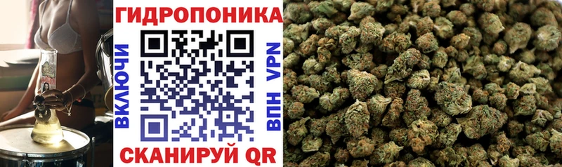 хочу   Аргун  Бошки Шишки LSD WEED 